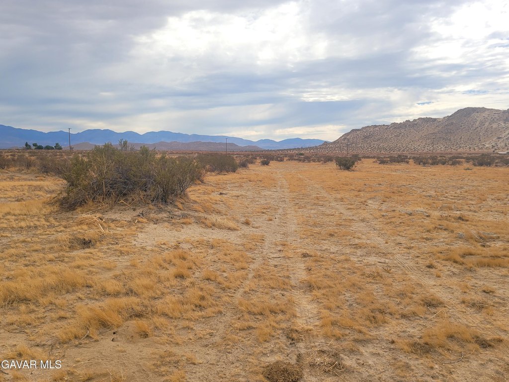 Picture 6