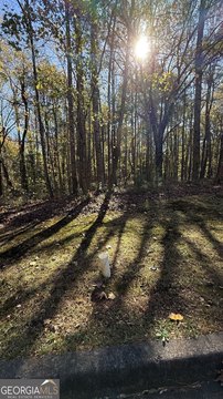 Residential Land in Ellenwood, GA