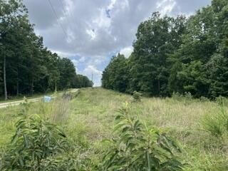 Wooded Residential Land Tract