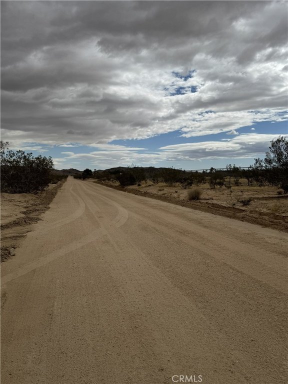 Picture 8
