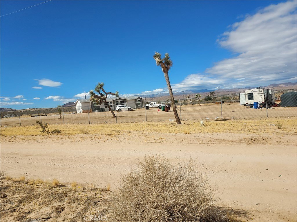 Picture 21