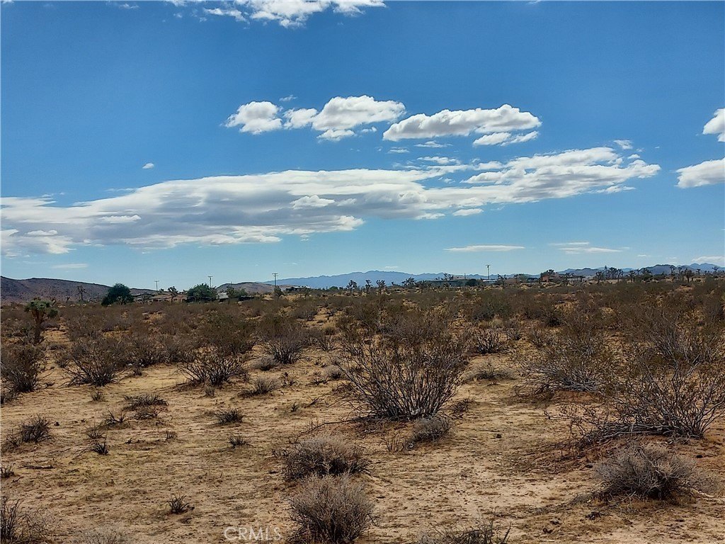 Picture 28