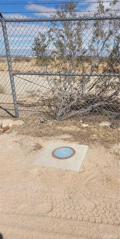 Picture 4