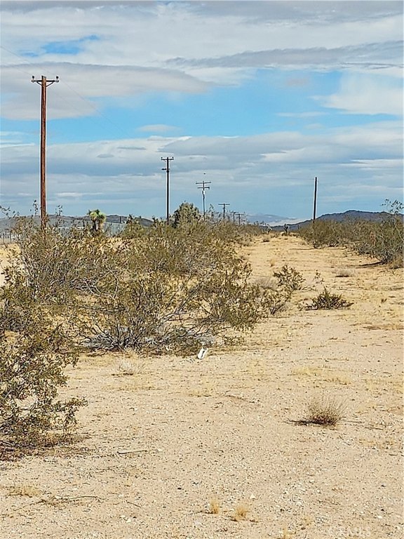 Picture 12
