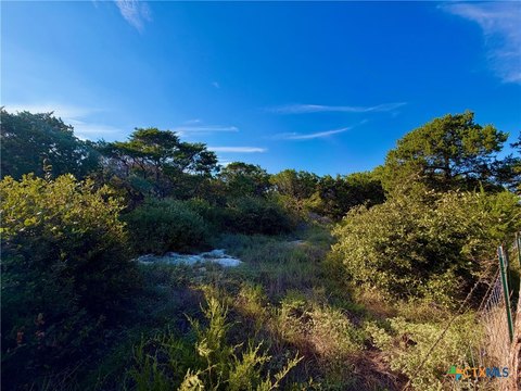 Land, Gatesville, TX
