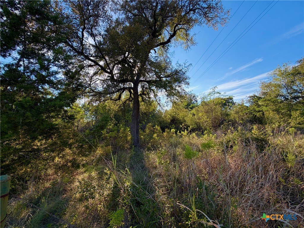 Picture 22