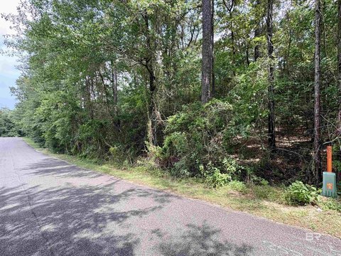 LAND - Brewton, AL