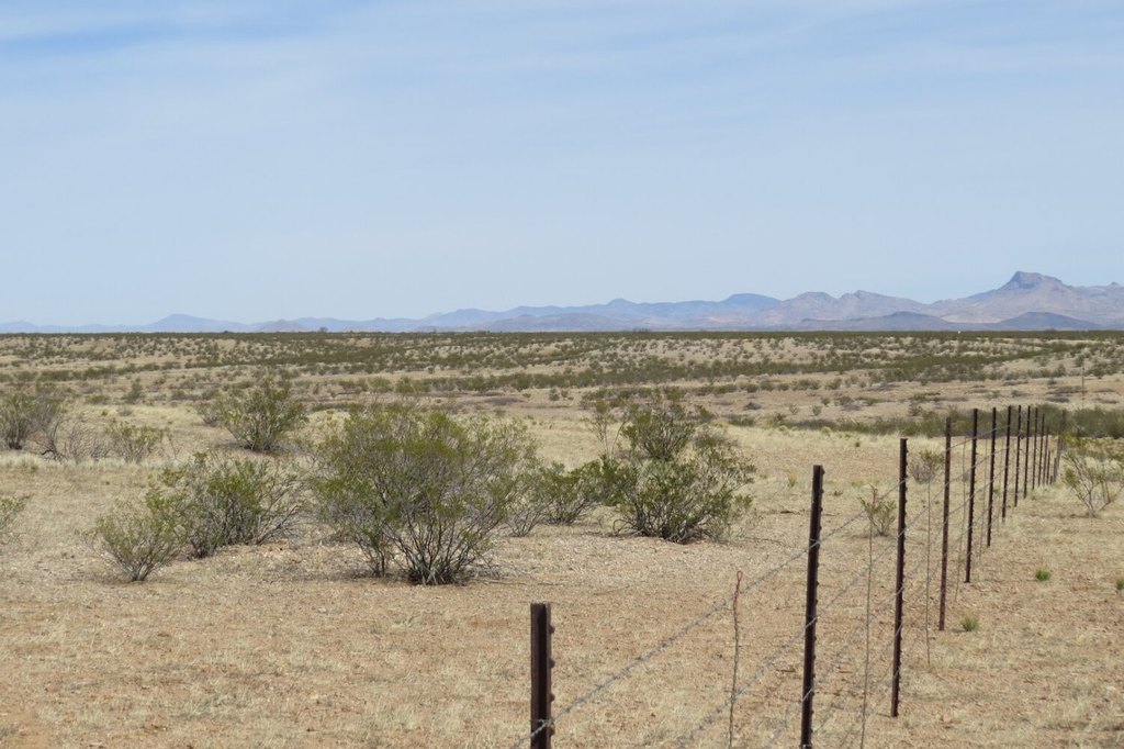 Picture 13