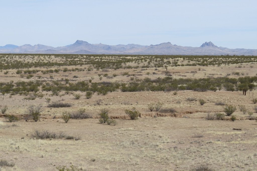Picture 16