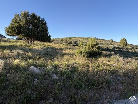 Single-Family Corner Lot