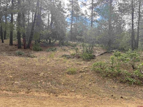 LAND - Pagosa Springs, CO