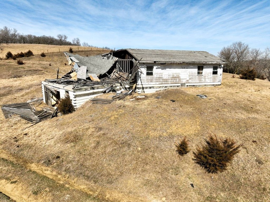 Picture 50