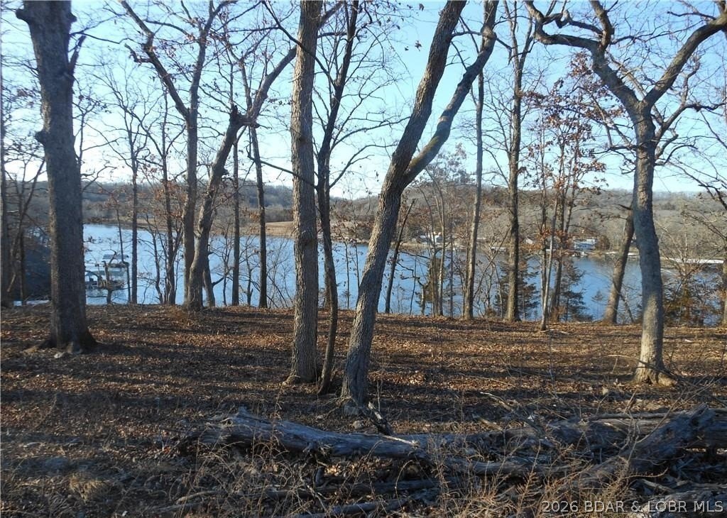 Picture 2