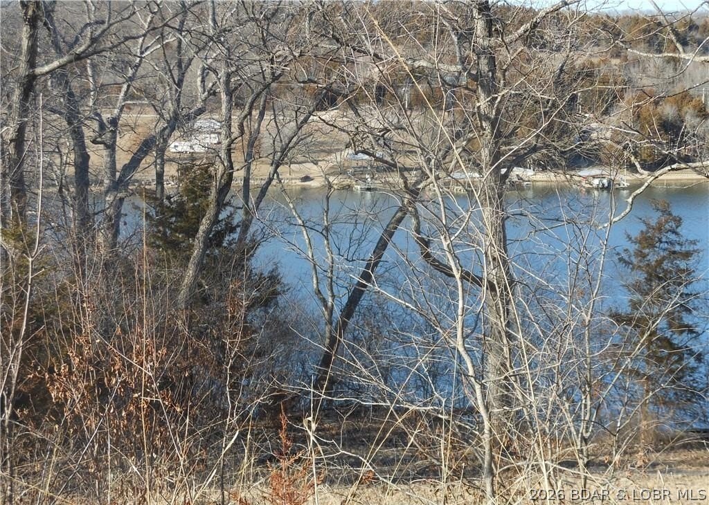 Picture 4