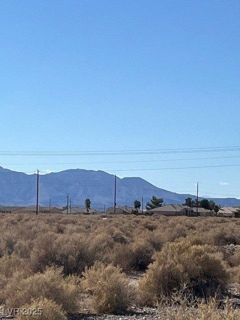 Picture 9