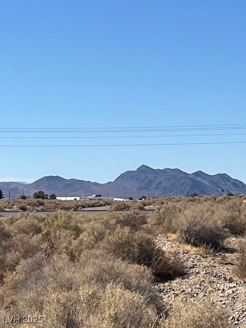 Picture 8