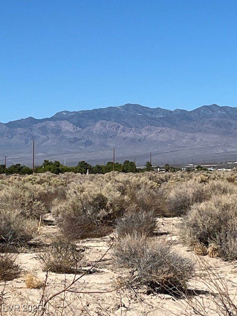 Picture 21