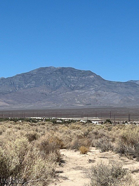 Picture 20