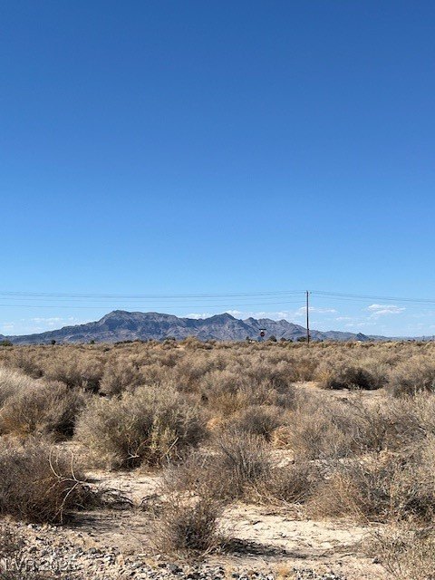 Picture 7
