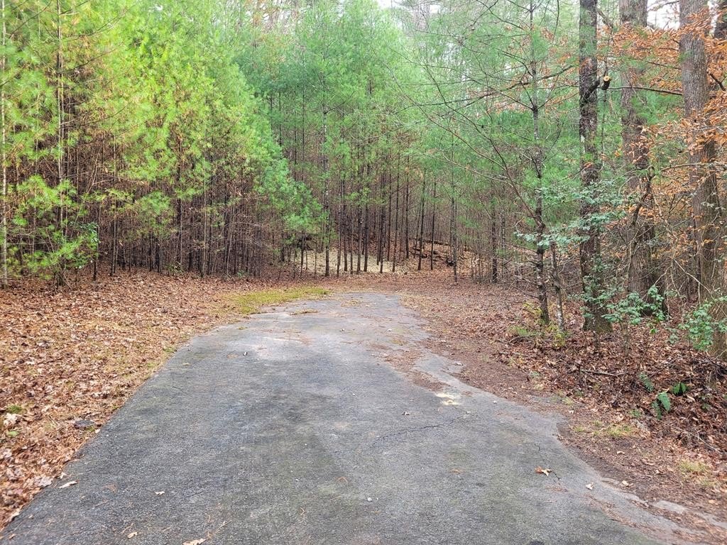 Hayesville Acreage with Creek Access