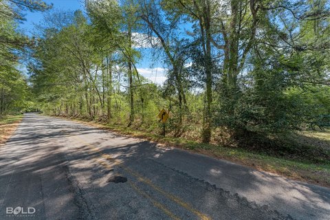 Land, Minden, LA