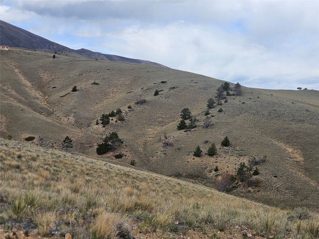 Picture 32