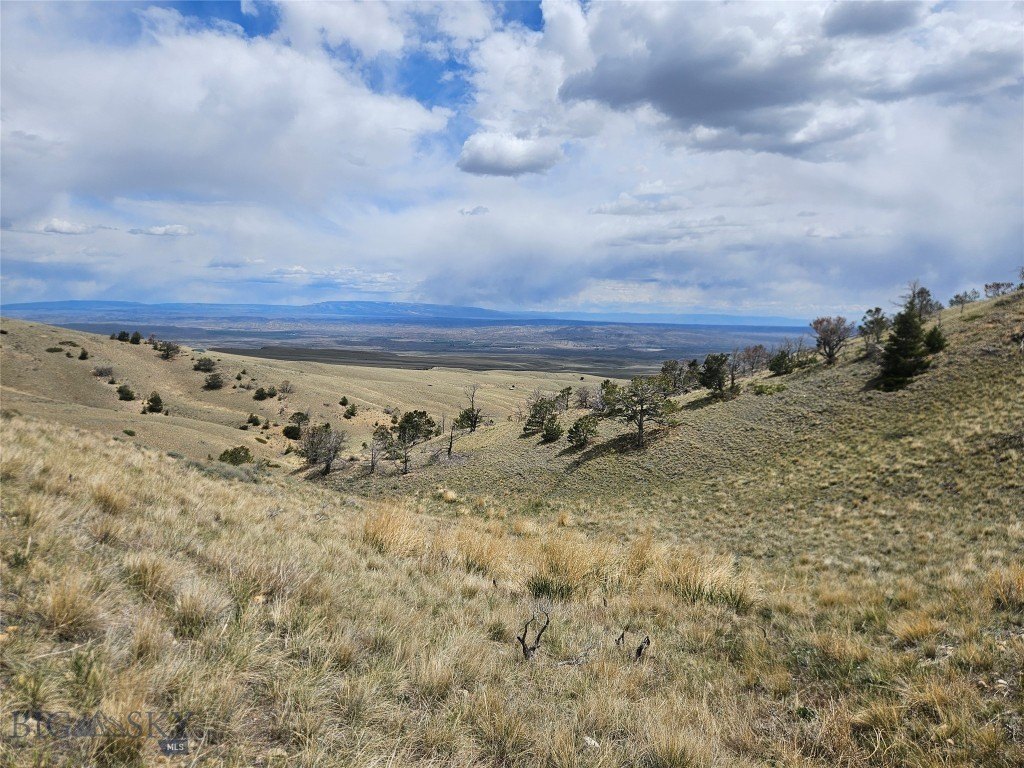 Picture 24