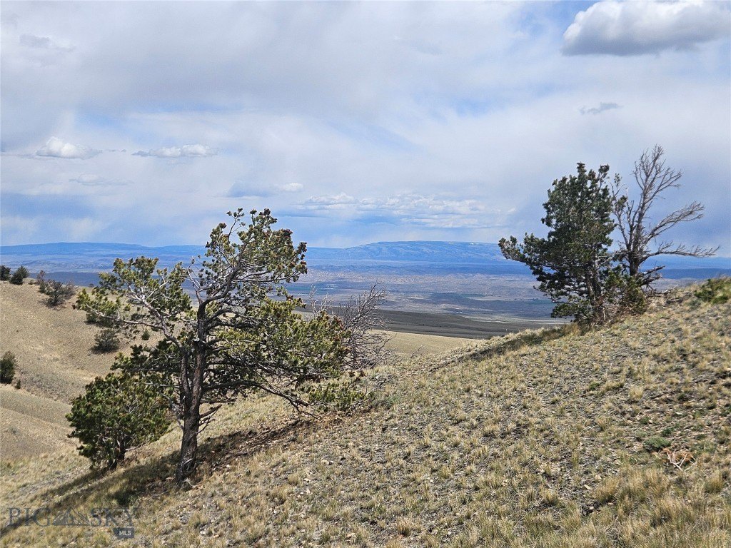Picture 25