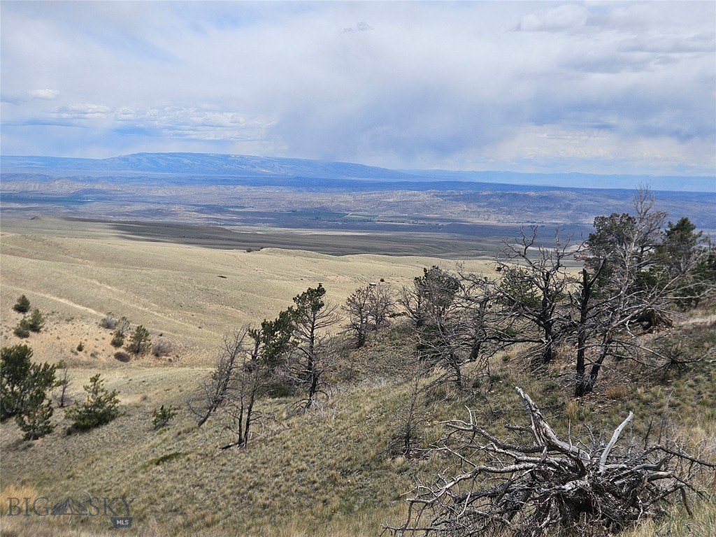 Belfry, MT Mountain Retreat Land