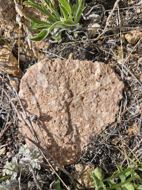 Picture 28