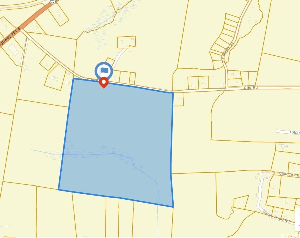 92.88 Acres in Loris, SC