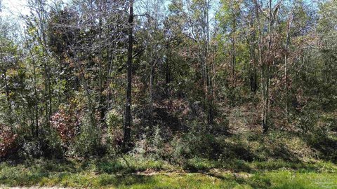 Land, Jay, FL
