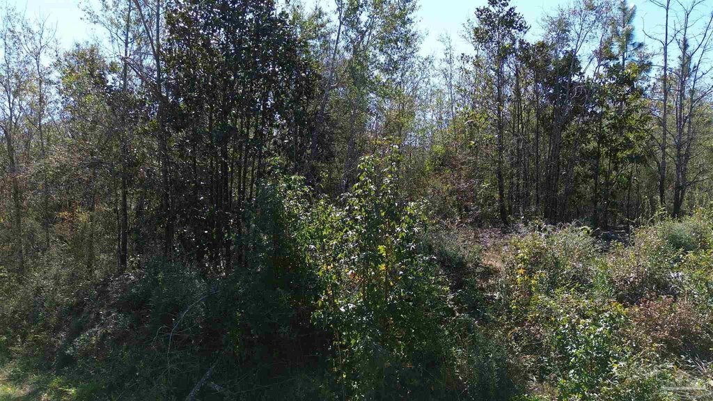 Picture 3