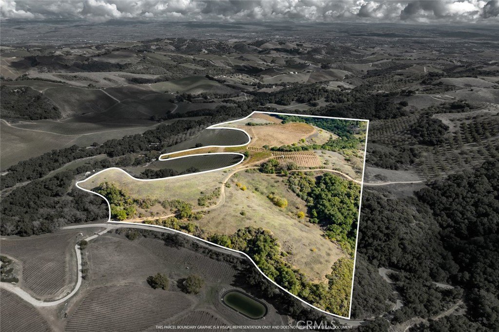 Established Vineyard in Paso Robles