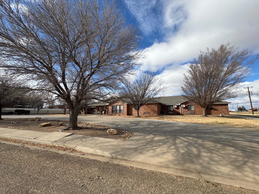 Picture 3