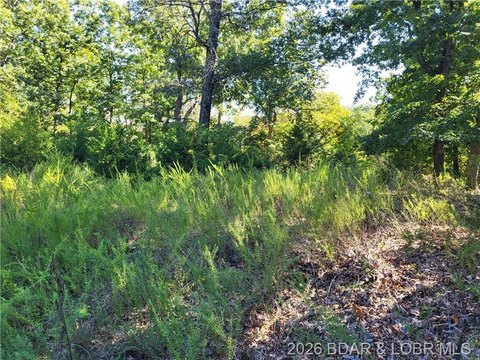 Wooded Acreage Near Lake Ozarks