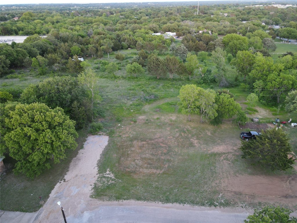 Picture 13