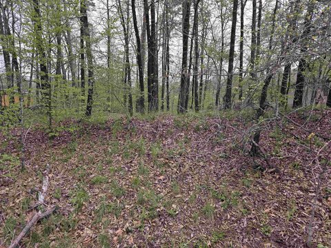 Diamondhead Community Buildable Lot
