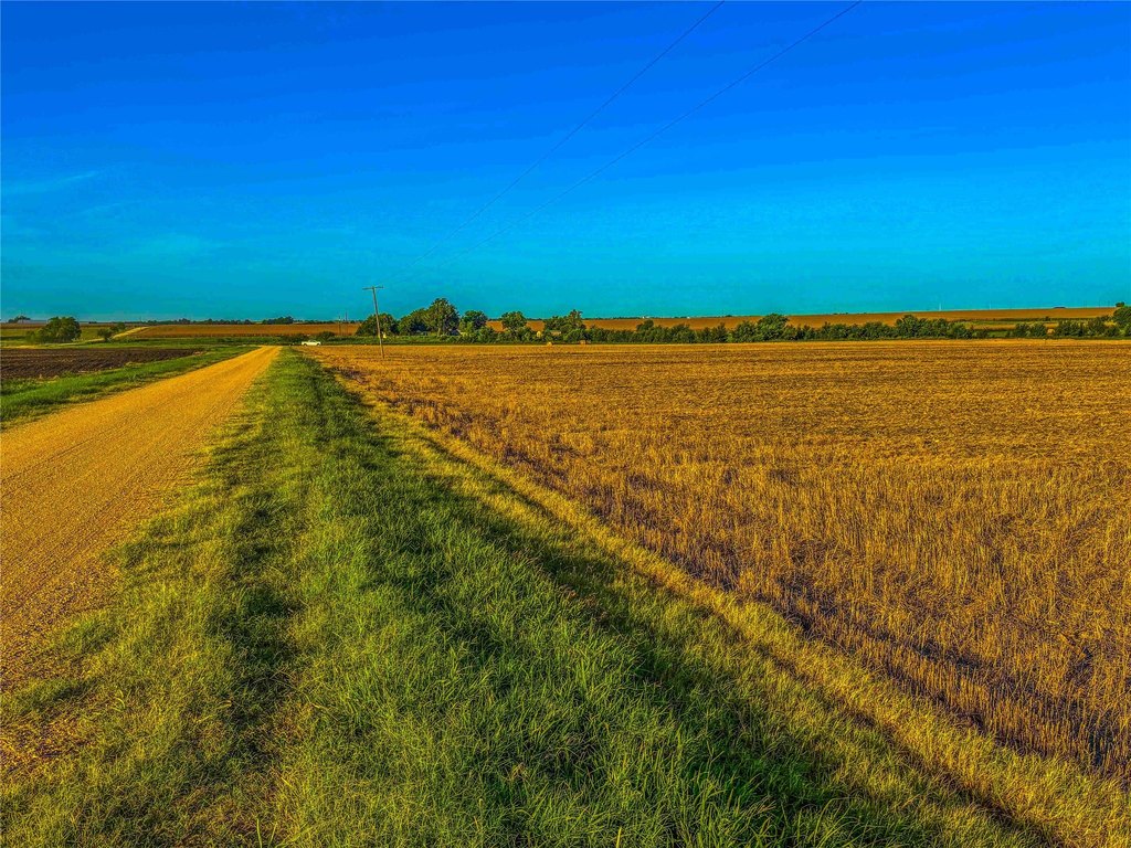 Picture 20