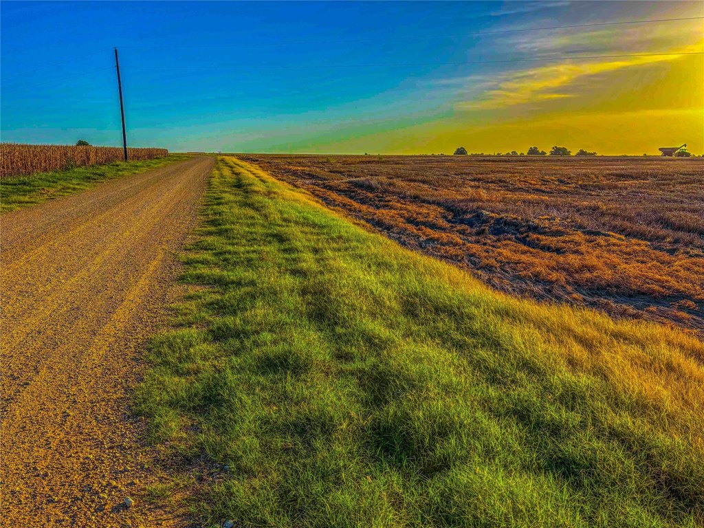 Picture 22