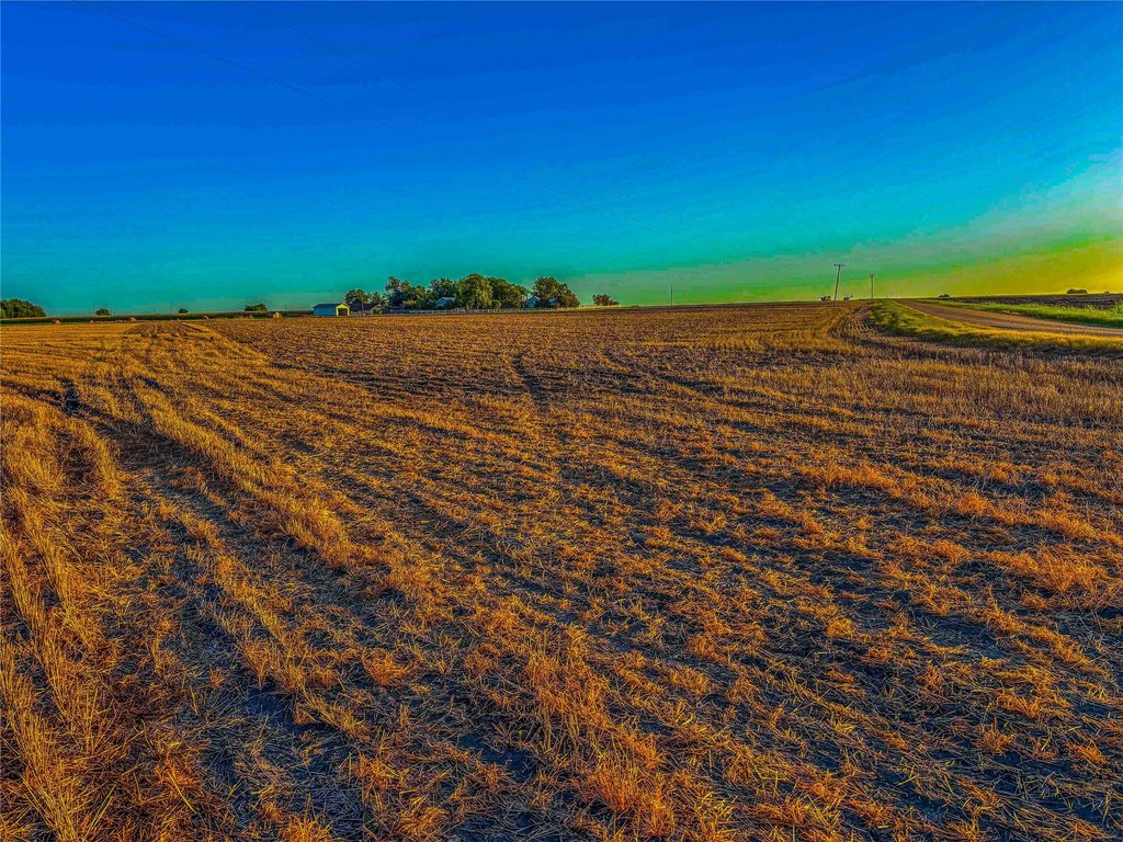Picture 14