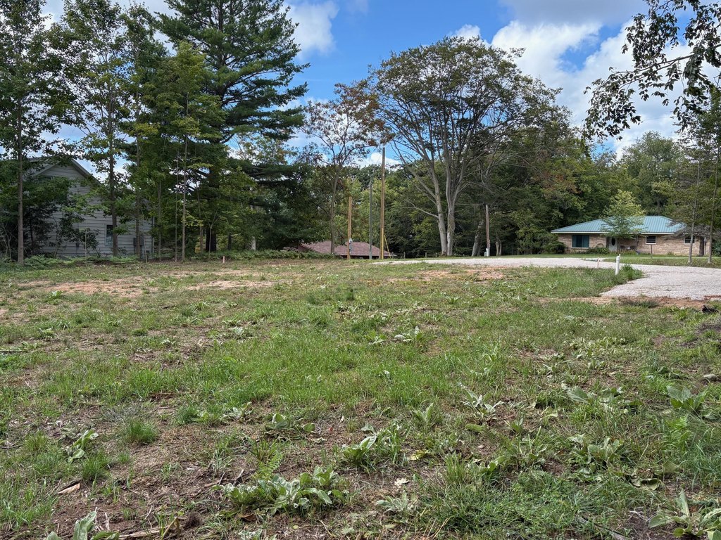 Picture 3