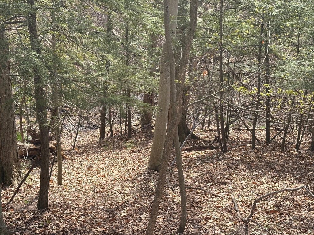 Picture 13