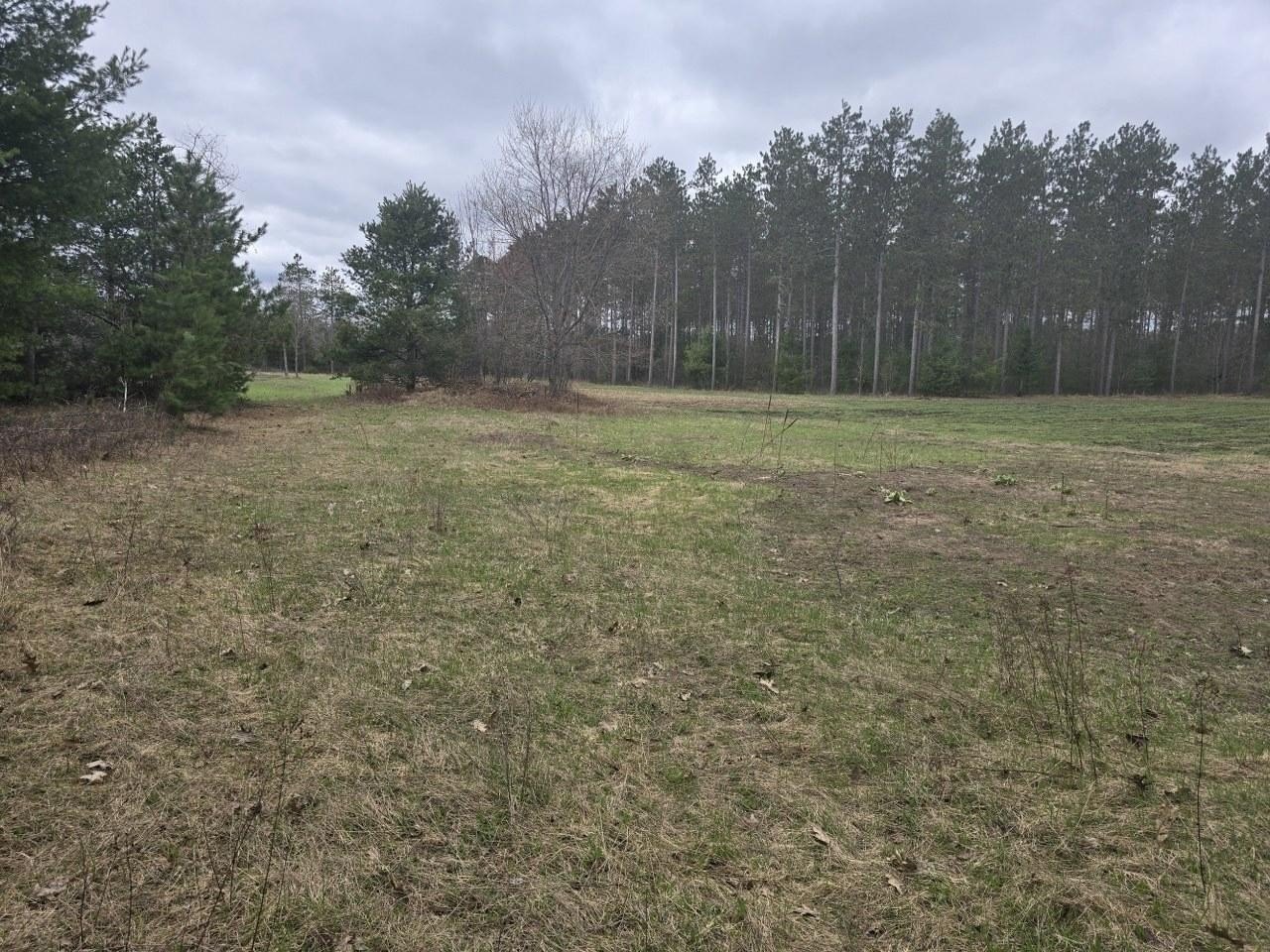 90 Acre Hunting Land Parcel