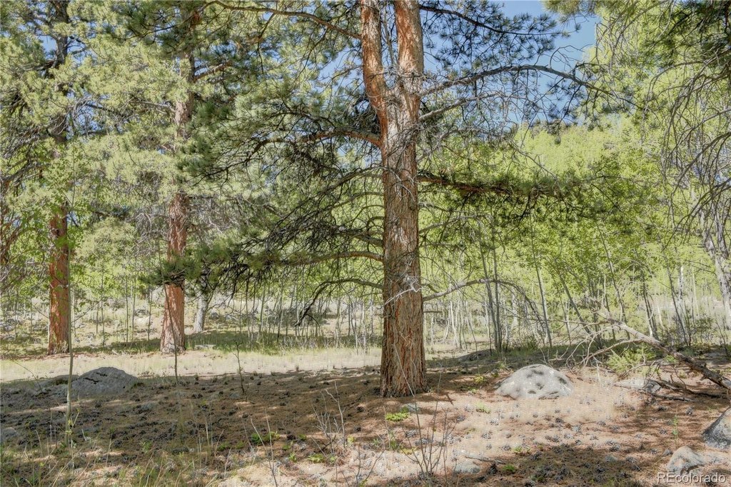 Picture 24