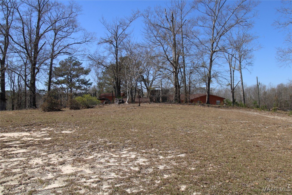 Expansive Land in Grady, Alabama