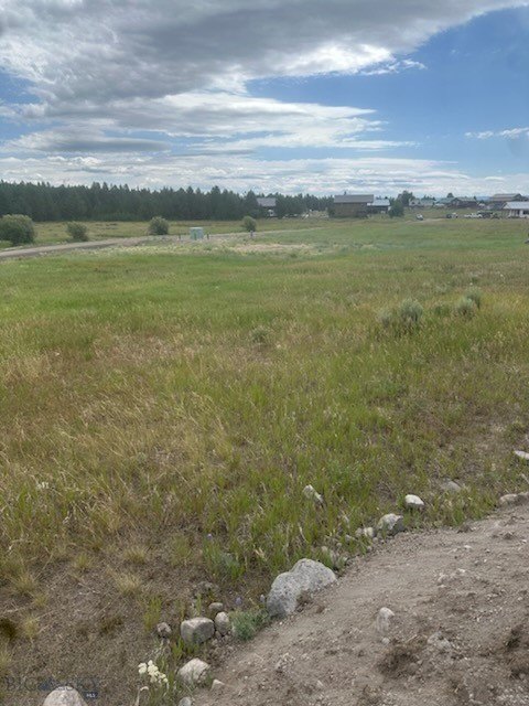 Picture 3