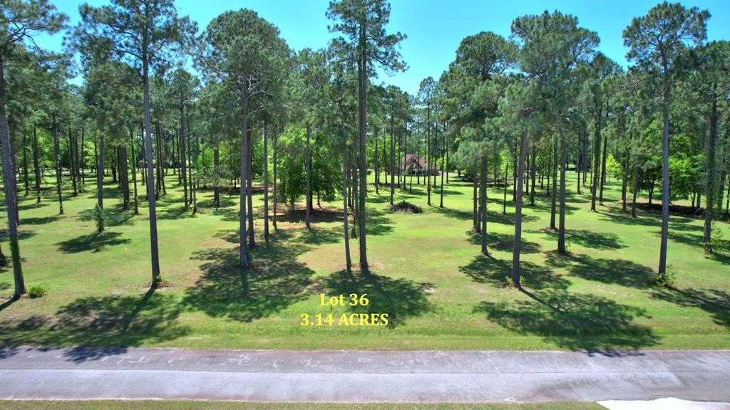 Cordele, GA Building Lot