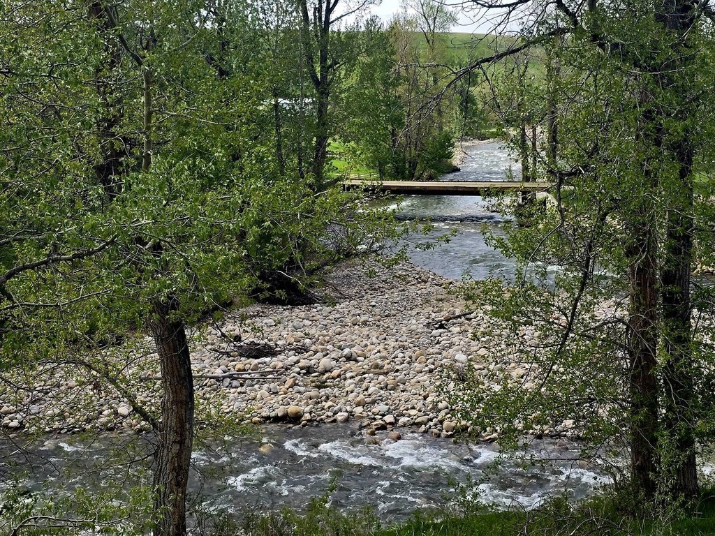Picture 12