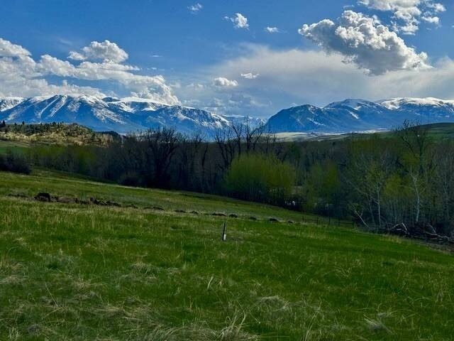 Picture 8